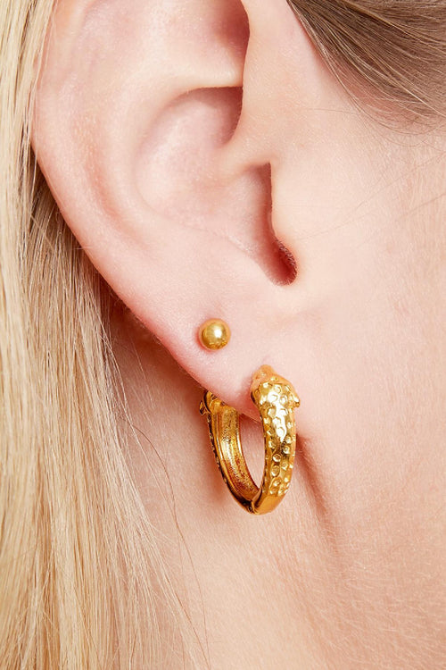 Big Dot Stainless Steel Earrings