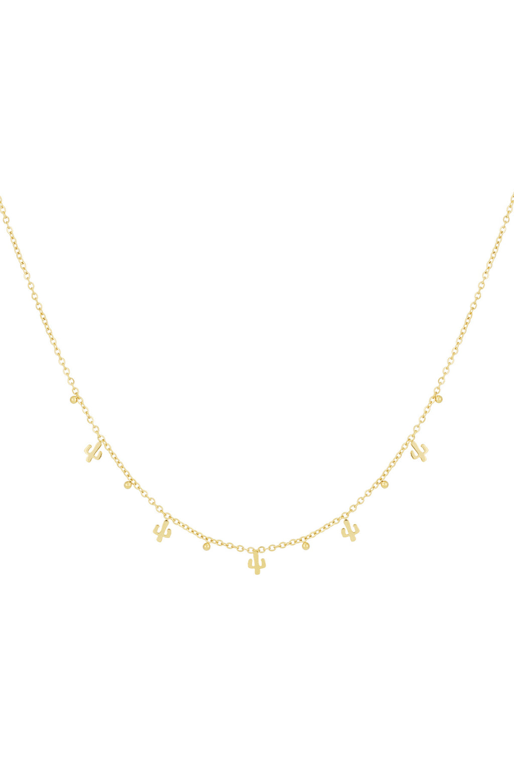 desert necklace