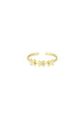 xxx amsterdam ring