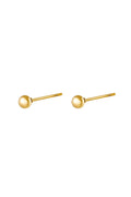 Big Dot Stainless Steel Earrings
