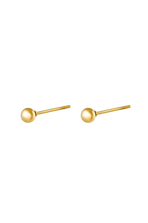 Big Dot Stainless Steel Earrings