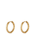 stainless steel hoop earrings 
