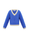Knitted Polyester Fiber Women's V-Neck Sweater Casual Color Clash